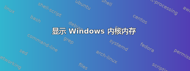 显示 Windows 内核内存