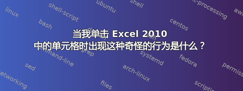 当我单击 Excel 2010 中的单元格时出现这种奇怪的行为是什么？