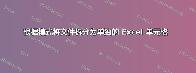 根据模式将文件拆分为单独的 Excel 单元格 