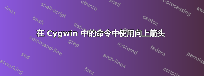 在 Cygwin 中的命令中使用向上箭头