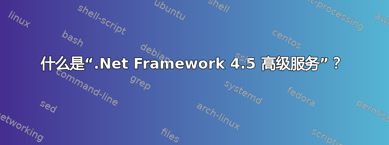 什么是“.Net Framework 4.5 高级服务”？