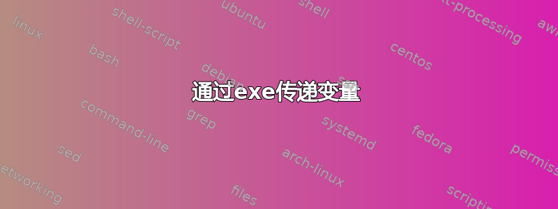 通过exe传递变量