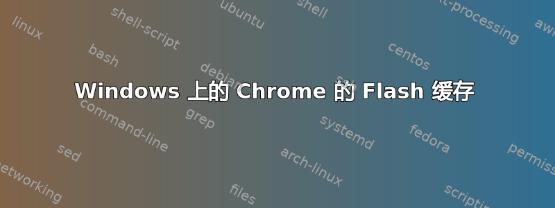 Windows 上的 Chrome 的 Flash 缓存