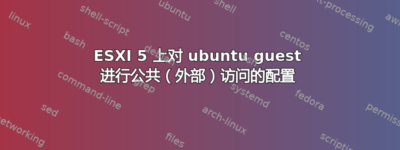 ESXI 5 上对 ubuntu guest 进行公共（外部）访问的配置