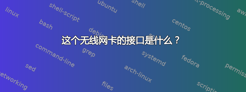 这个无线网卡的接口是什么？