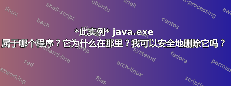 *此实例* java.exe 属于哪个程序？它为什么在那里？我可以安全地删除它吗？