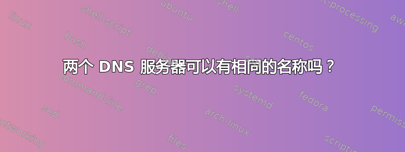 两个 DNS 服务器可以有相同的名称吗？