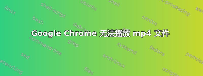 Google Chrome 无法播放 mp4 文件