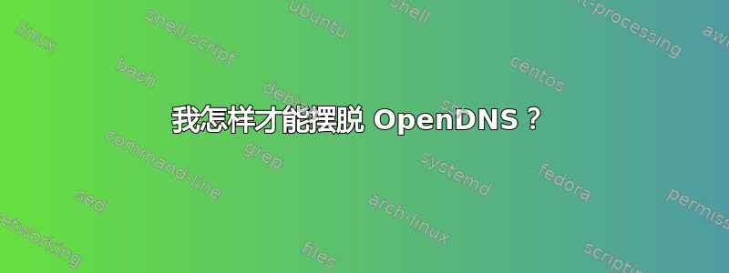 我怎样才能摆脱 OpenDNS？