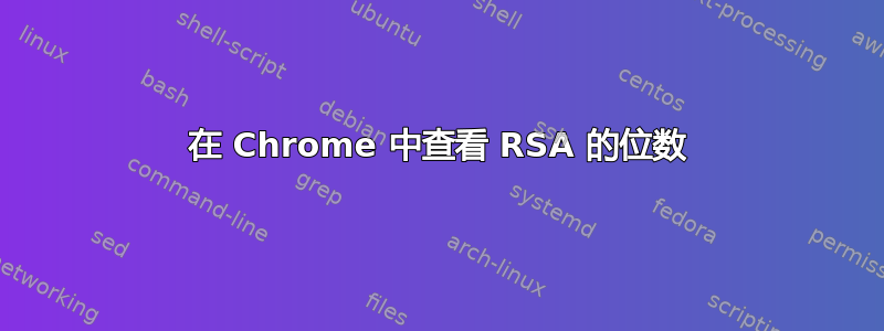 在 Chrome 中查看 RSA 的位数