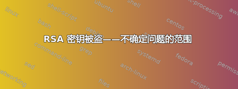 RSA 密钥被盗——不确定问题的范围