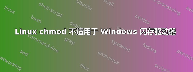 Linux chmod 不适用于 Windows 闪存驱动器