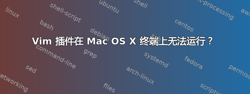 Vim 插件在 Mac OS X 终端上无法运行？