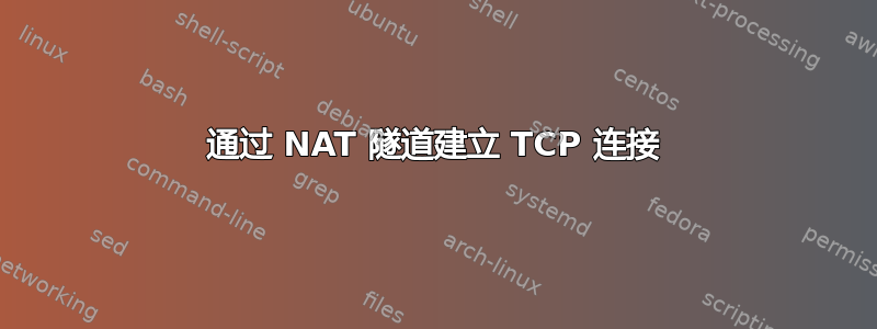 通过 NAT 隧道建立 TCP 连接