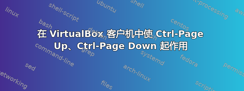 在 VirtualBox 客户机中使 Ctrl-Page Up、Ctrl-Page Down 起作用