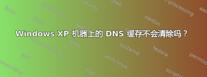 Windows XP 机器上的 DNS 缓存不会清除吗？