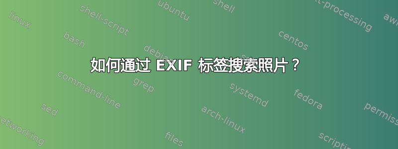 如何通过 EXIF 标签搜索照片？