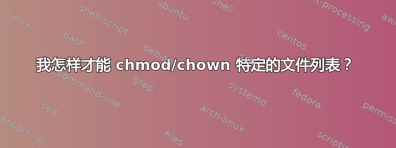 我怎样才能 chmod/chown 特定的文件列表？