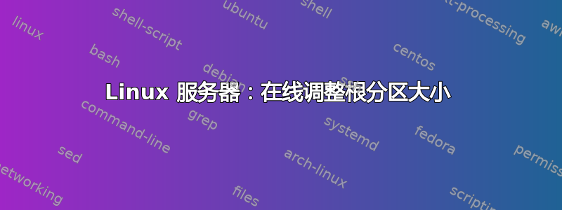 Linux 服务器：在线调整​​根分区大小