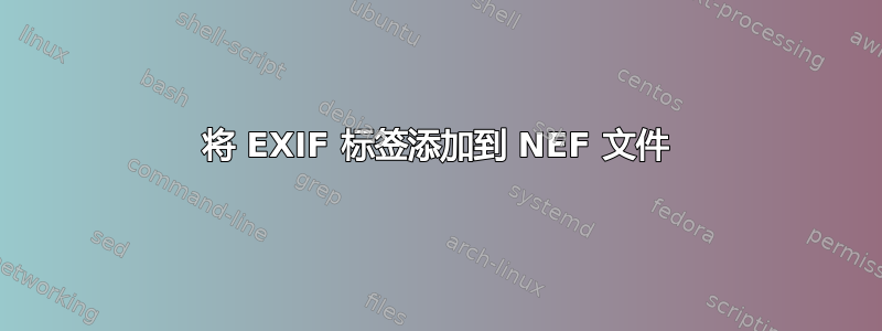 将 EXIF 标签添加到 NEF 文件