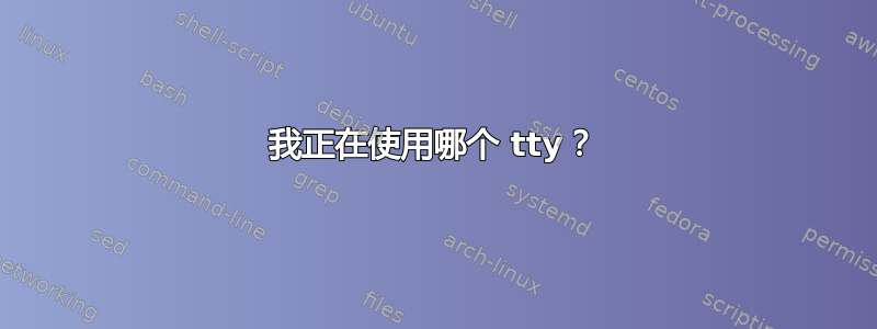 我正在使用哪个 tty？