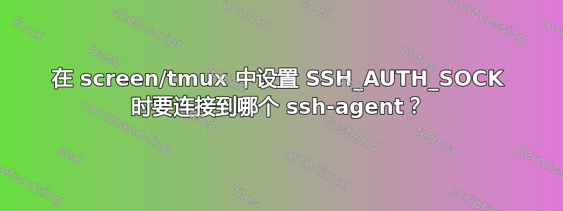 在 screen/tmux 中设置 SSH_AUTH_SOCK 时要连接到哪个 ssh-agent？