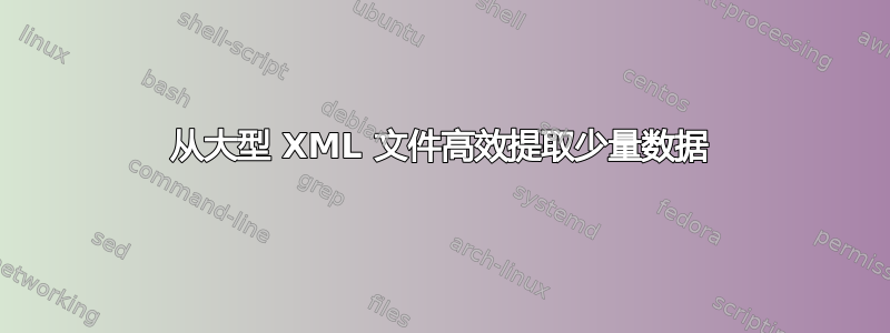 从大型 XML 文件高效提取少量数据