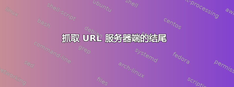 抓取 URL 服务器端的结尾 