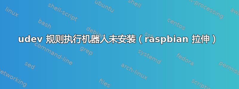 udev 规则执行机器人未安装（raspbian 拉伸）