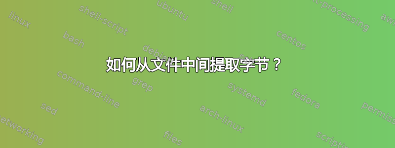 如何从文件中间提取字节？