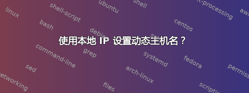 使用本地 IP 设置动态主机名？