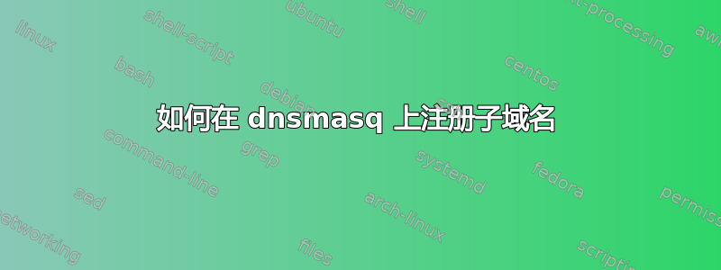 如何在 dnsmasq 上注册子域名