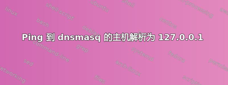 Ping 到 dnsmasq 的主机解析为 127.0.0.1