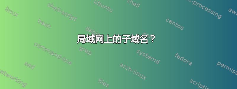 局域网上的子域名？