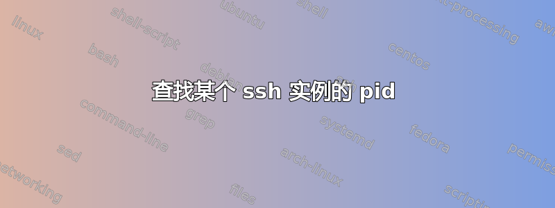 查找某个 ssh 实例的 pid