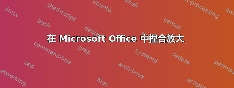 在 Microsoft Office 中捏合放大