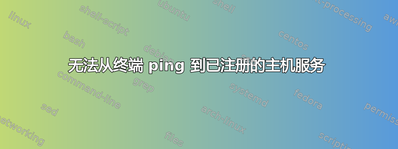 无法从终端 ping 到已注册的主机服务