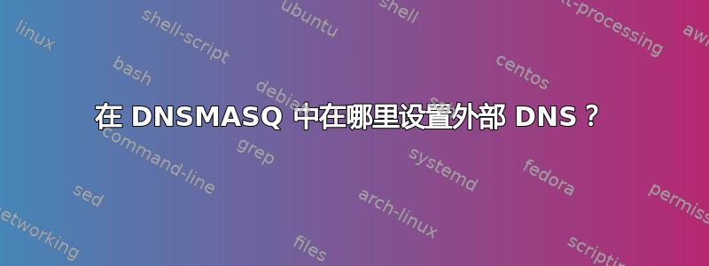 在 DNSMASQ 中在哪里设置外部 DNS？