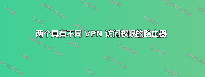 两个具有不同 VPN 访问权限的路由器