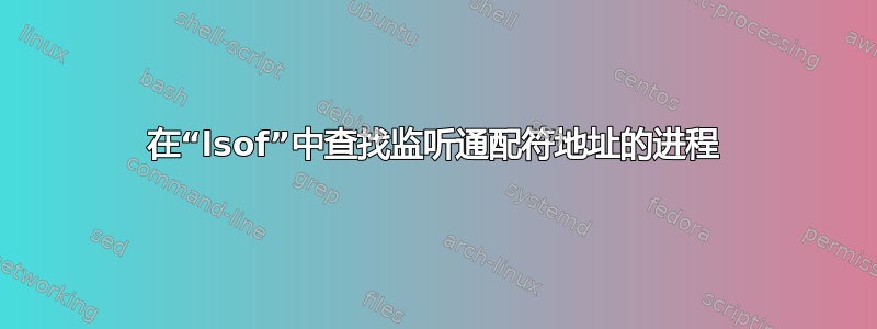 在“lsof”中查找监听通配符地址的进程