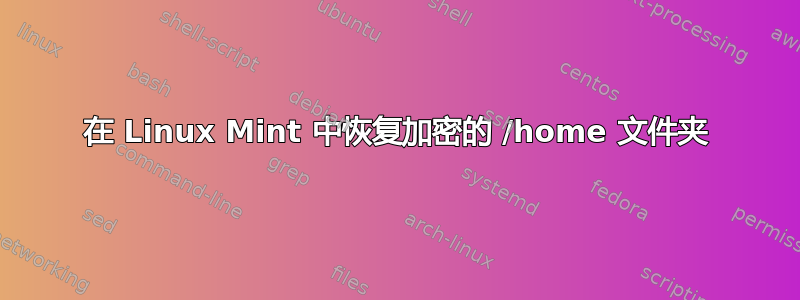 在 Linux Mint 中恢复加密的 /home 文件夹