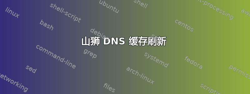 山狮 DNS 缓存刷新