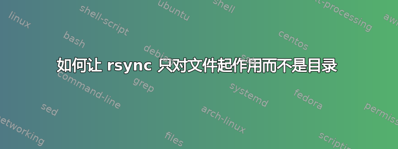 如何让 rsync 只对文件起作用而不是目录