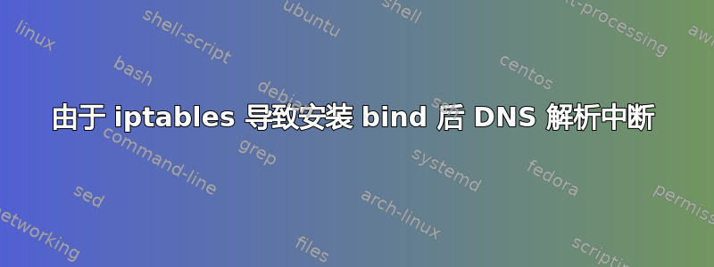 由于 iptables 导致安装 bind 后 DNS 解析中断