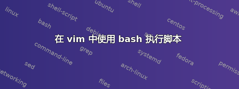 在 vim 中使用 bash 执行脚本