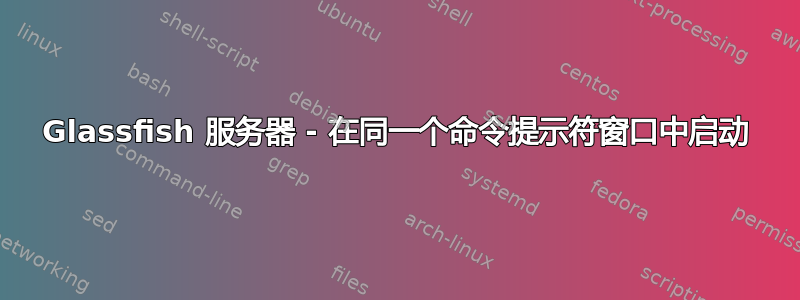 Glassfish 服务器 - 在同一个命令提示符窗口中启动