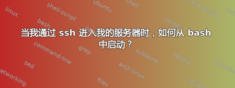 当我通过 ssh 进入我的服务器时，如何从 bash 中启动？