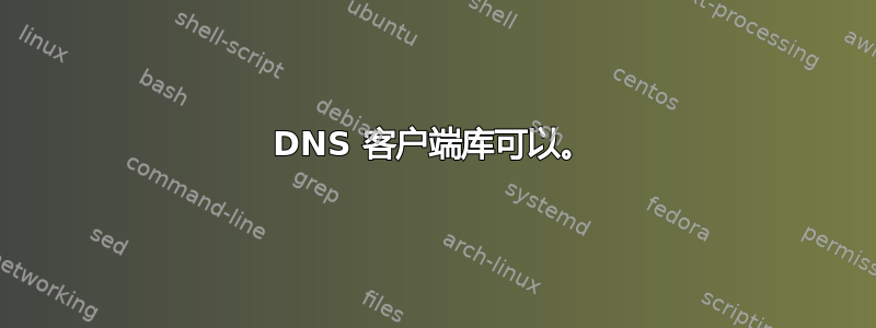 DNS 客户端库可以。