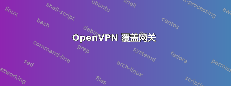 OpenVPN 覆盖网关