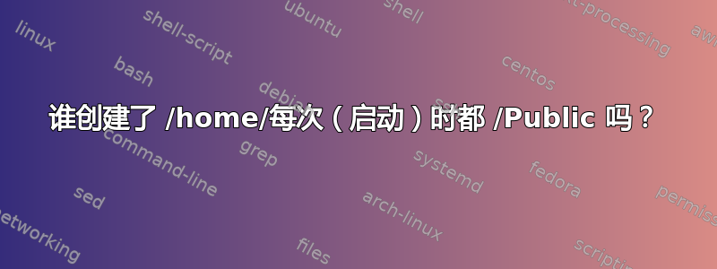 谁创建了 /home/每次（启动）时都 /Public 吗？